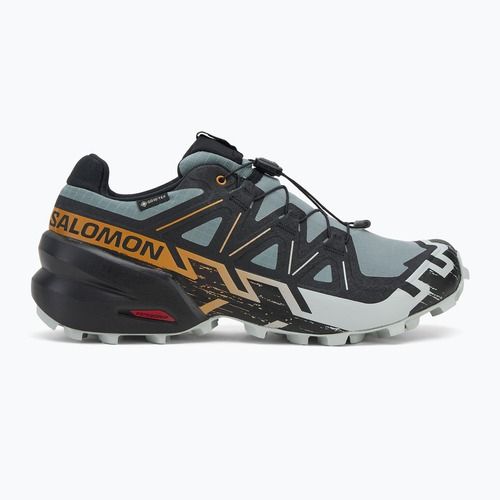 Scarpe da corsa da uomo Salomon Speedcross 6 GTX trooper/black/wood thrush