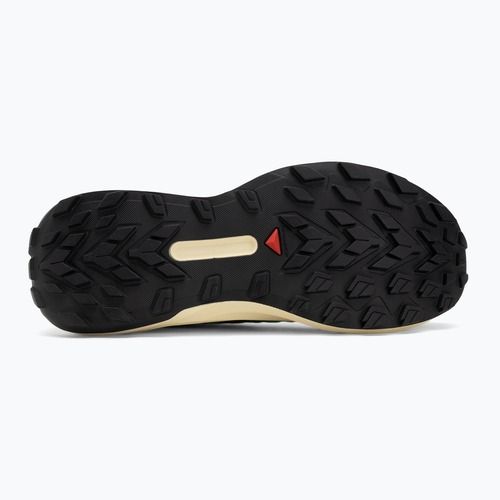 Scarpe da corsa da uomo Salomon Genesis giallo trasparente/nero/willowherb