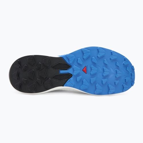 Scarpe da corsa da uomo Salomon Pulsar lunar rock/white/french blue