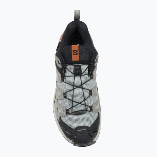 Scarpe da trekking da uomo Salomon X Ultra 360 Leather GTX ferro battuto / sedona sage / sierra