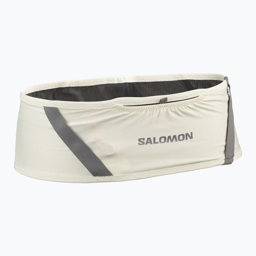 Cintura da corsa Salomon Pulse icicle / castlerock