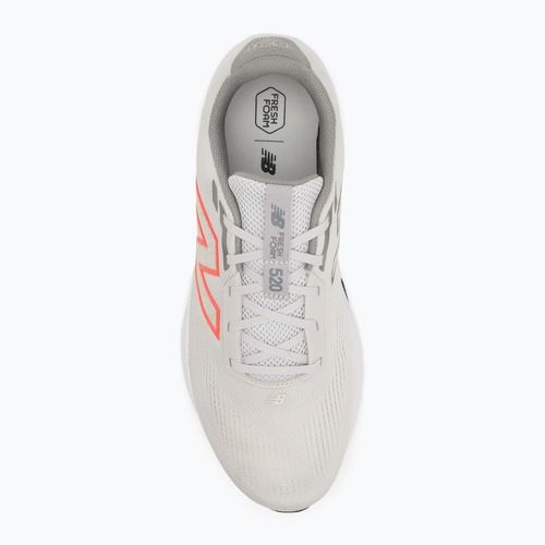 Scarpe da corsa da uomo New Balance Fresh Foam 520's V9 grey matter