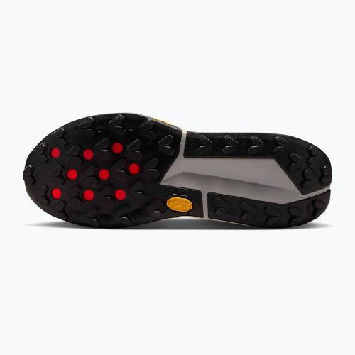Scarpe da corsa da uomo Nike Zegama 2 fir/desert ochre/college grey/sail