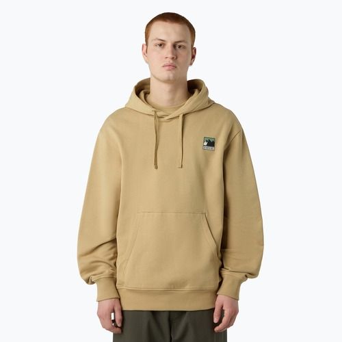 Felpa da uomo The North Face Mountain Logo Relaxed con cappuccio khaki stone