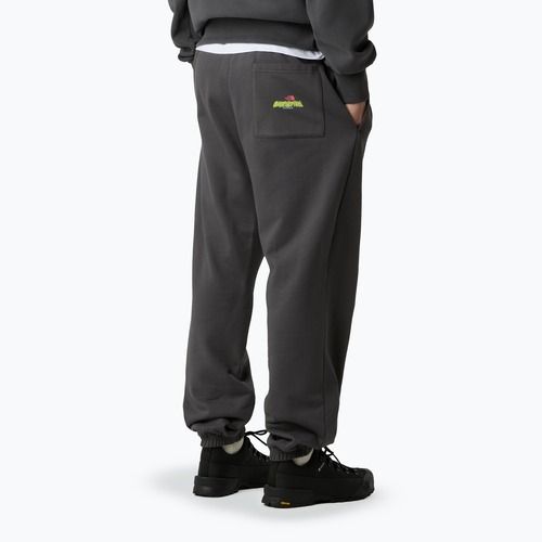 Pantaloni da uomo The North Face Expedition Celebration Relaxed Jogger Reg grigio antracite