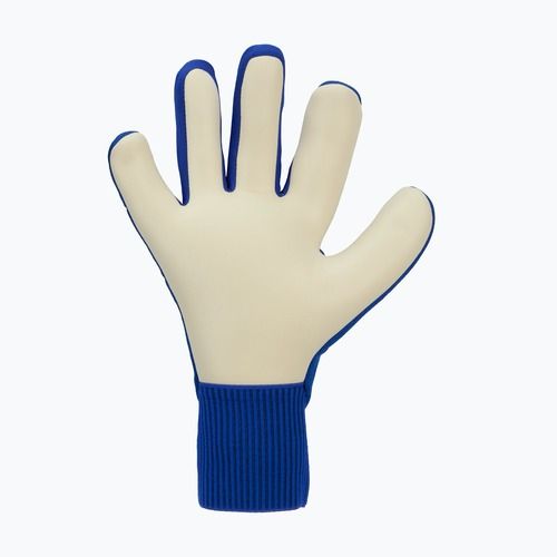 Guanti da portiere Nike Dynamic Fit racer blue/black/pink blast