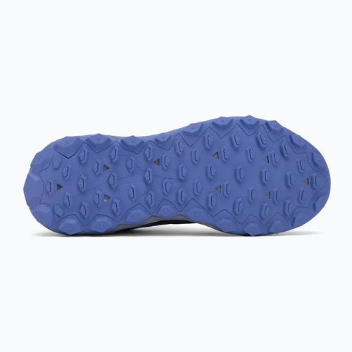 Scarpe da running donna Mizuno Wave Ibuki 5 GTX Odyssey grey/calypso coral/iris bloom