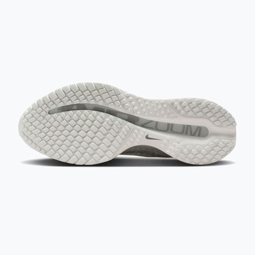 Scarpe running donna Nike Pegasus Premium ESS summit white/pure platinum/white