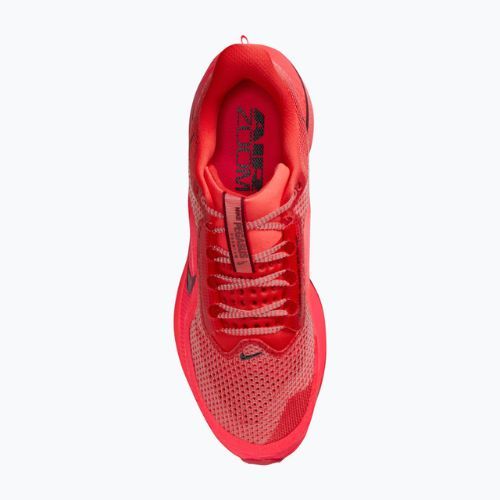 Scarpe da running uomo Nike Pegasus Premium light crimson/bright crimson/black/team red
