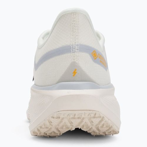 Scarpe da corsa uomo Nike Pegasus 41 GTX sail/football grey/sundial/ashen slate