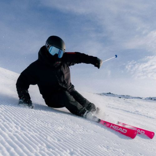 Sci da discesa HEAD WC Rebels e-Race Pro RP WCR 14 + attacchi Freeflex 14 GW 75 Years pink