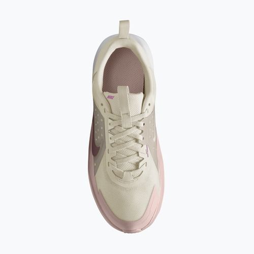 Scarpe Nike Sonic Fly phantom/cream ii/silt red/tattoo