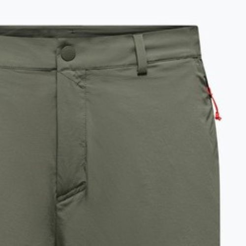 Pantaloncini da trekking da uomo Salewa Puez Talveno DST faded green