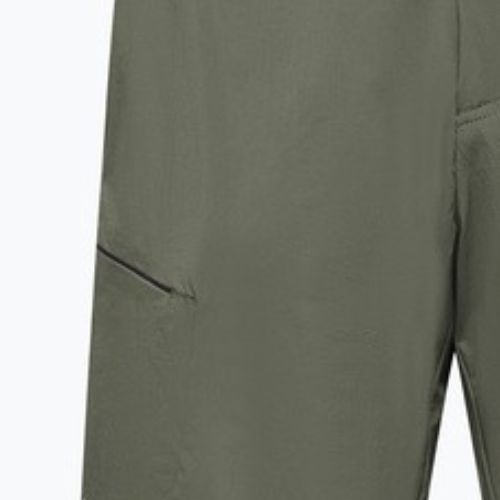 Pantaloncini da trekking da uomo Salewa Pedroc 4 DST Cargo faded green