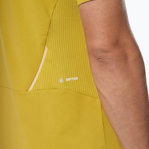 Maglietta da uomo Salewa Pedroc Tech Dry olive oil