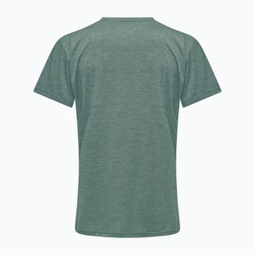 Maglietta da trekking da uomo Salewa Puez Melange Dry willow melange