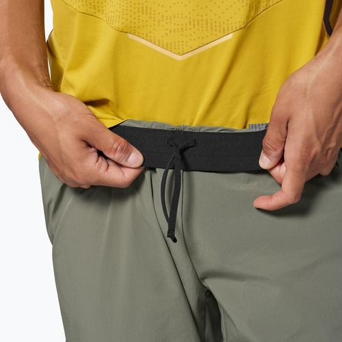 Pantaloni da trekking da uomo Salewa Pedroc 3 DST Light faded green