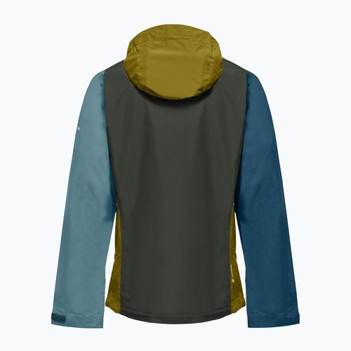 Giacca antipioggia da uomo Salewa Puez Aqua 4 PTX 2.5L olive oil/multi