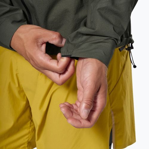 Giacca antipioggia da uomo Salewa Pedroc 2 PTX 2.5 Light faded green