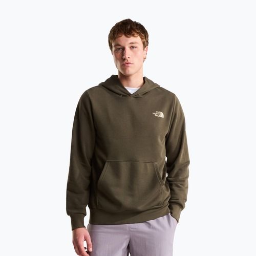 Felpa da uomo The North Face Monte Regular Hoodie Graphic new taupe green
