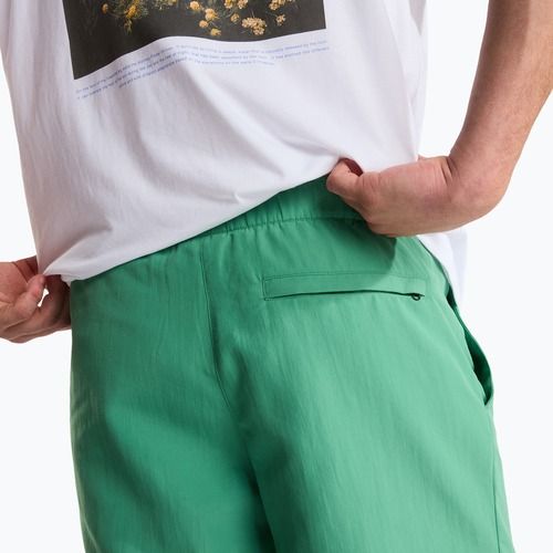 Pantaloncini da trekking da uomo The North Face Leynar dimmed algae/tnf black