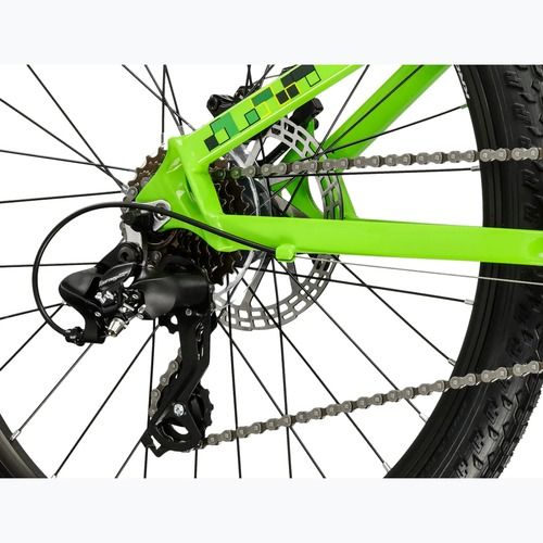 Bicicletta per bambini KROSS Dust Jr 1.0 Dsc green/green/gloss
