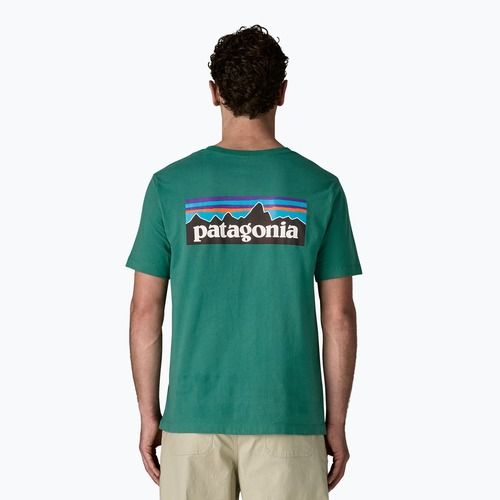 Maglietta da uomo Patagonia P-6 Logo gem green
