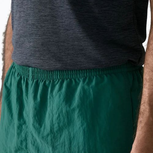 Pantaloncini da uomo Patagonia Baggies 5" 95 oval logo/gem green