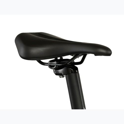 Bicicletta da montagna da donna KROSS Lea 2.0 W 29 mint/purple/matte