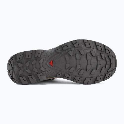 Scarpe da trekking da donna Salomon Quest Echo GTX gull/paloma/bog
