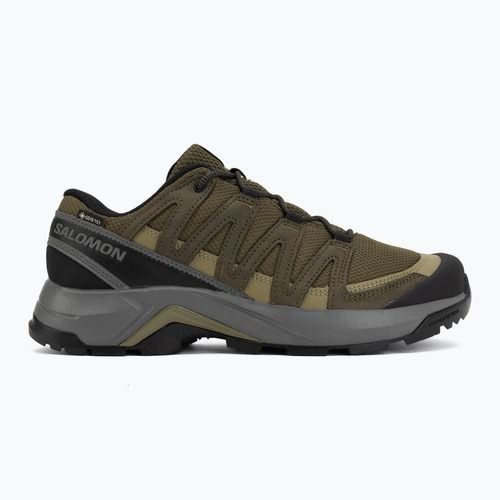 Scarpe da trekking da uomo Salomon X-Adventure Recon Waterproof olvnig/martini