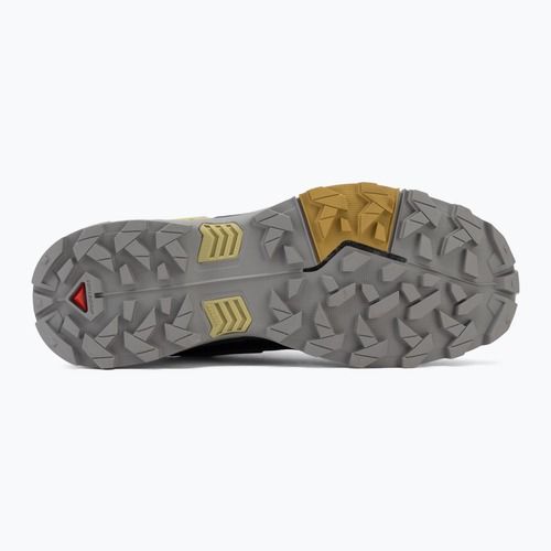 Scarpe da trekking da uomo Salomon X Ultra 5 cloudburst/black/willow