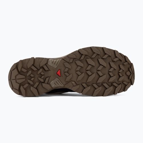 Scarpe da trekking da uomo Salomon X ULTRA 360 LTR GTX dsrtan/walnut