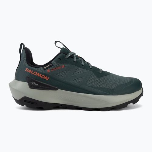 Scarpe da trekking da uomo Salomon Elixir Activ GTX scarab/green gable