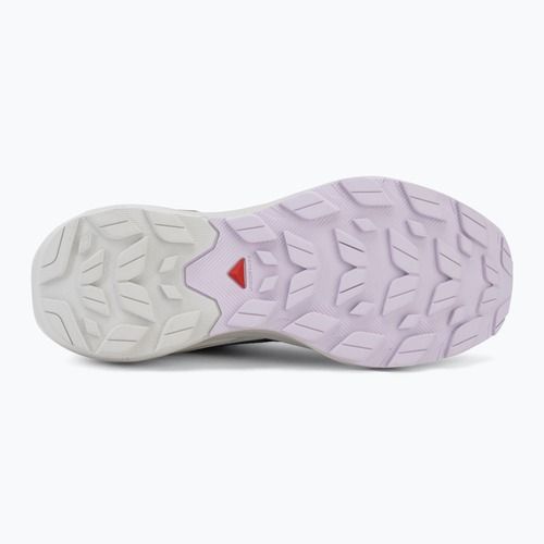 Scarpe da trekking da donna Salomon Elixir Activ GTX shskin/glacier gray/opetal