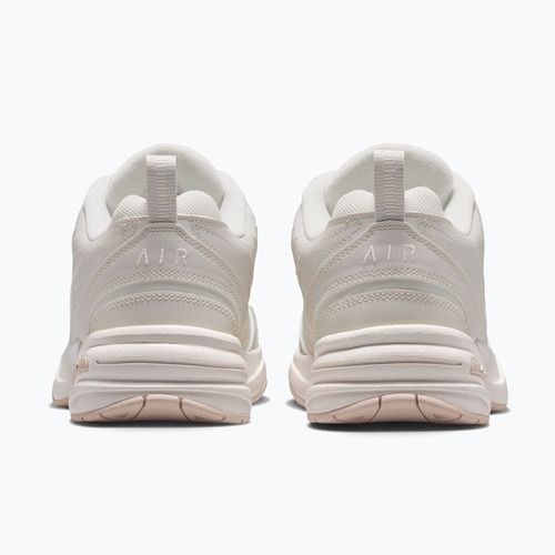 Scarpe da allenamento da uomo Nike Air Monarch IV light bone/spruce aura/sanddrift