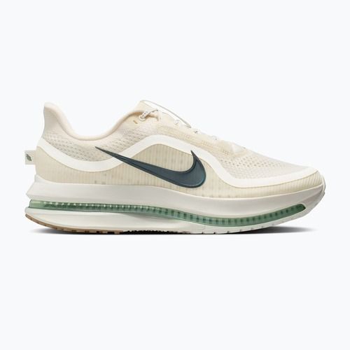 Scarpe da running da uomo Nike Pegasus Premium Pale ivory/jade horizon/black spruce