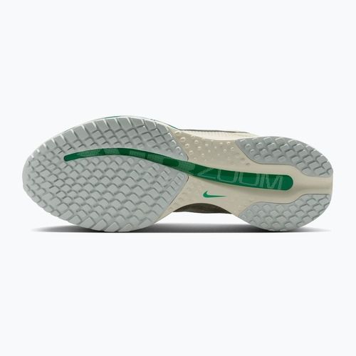 Scarpe da running da donna Nike Pegasus Premium sea glass/malachite/metallic silver