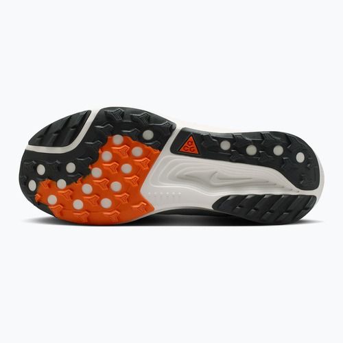 Scarpe da running da uomo Nike ACG Pegasus Trail jade horizon/light silver/phantom