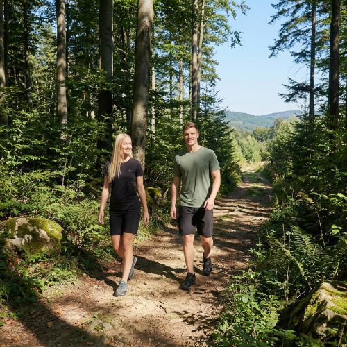 Maglietta da trekking da uomo KADVA TrailCore breathable green