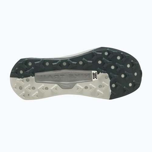 Scarpe da corsa uomo Nike Wildhorse 10 spruce fog/sea glass/black spruce