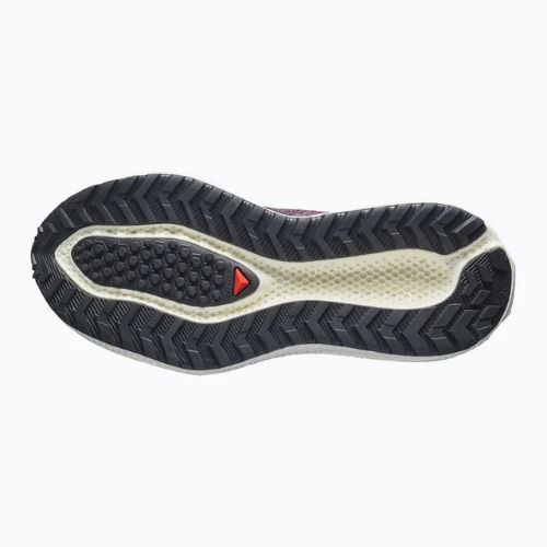Scarpe da corsa donna Salomon Aero Glide 4 GRVL huckleberry/black