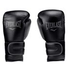 Guantoni da boxe Everlast Power Lock 2 Premium nero EV2272