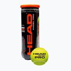 Palle da paddle HEAD 3B HEAD Pro 3 pz.