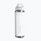 Borraccia termica Stanley Classic Wellspring frost