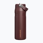 Borraccia termica Stanley IceFlow Flip Straw 710 ml coffee