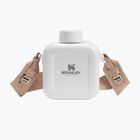 Borraccia Stanley The Next X Nature Canteen 740 ml hammertone frost