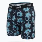 Boxer Stance Gecko Brief black