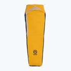 The North Face Assault Futurelight Bivy telo da campeggio oro/stagno grigio