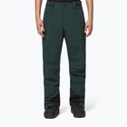 Pantaloni da snowboard Oakley Axis Insulated da uomo, verde scuro